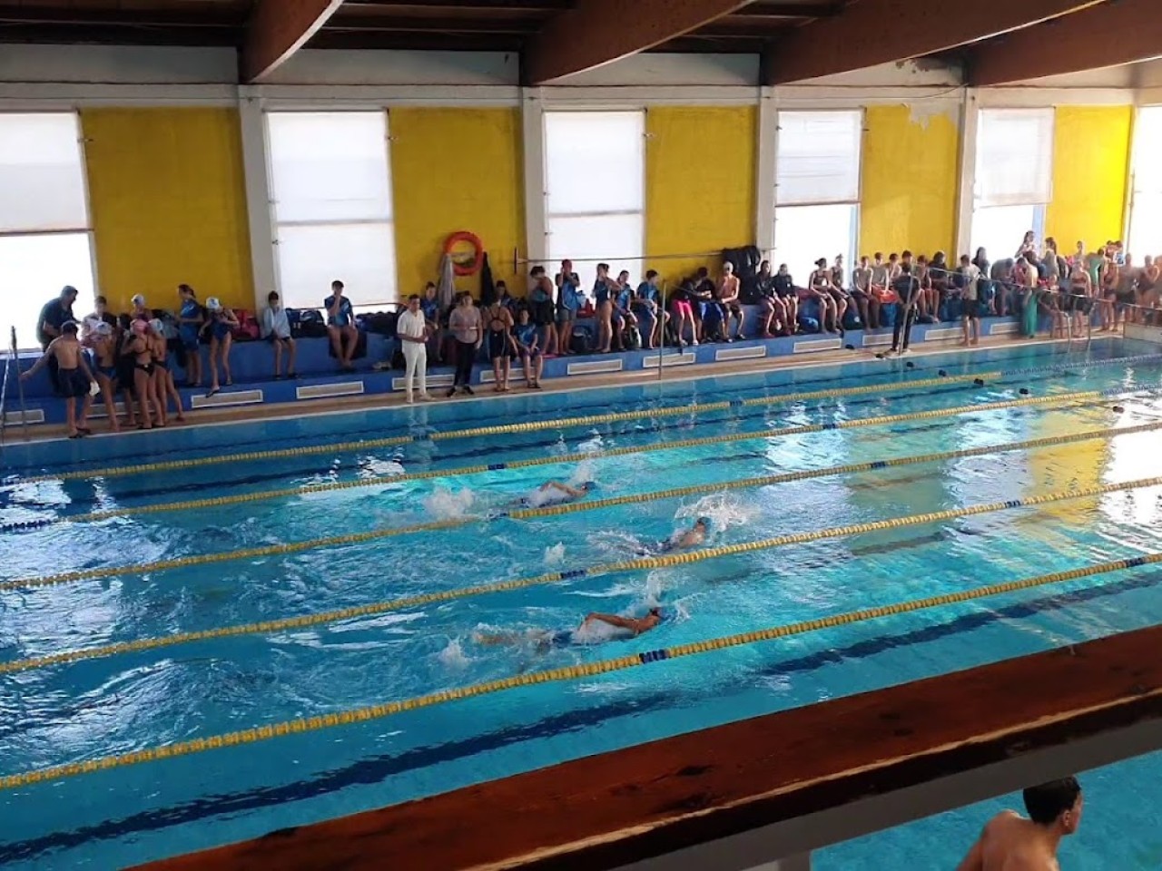 Piscina Municipal Badalona - Mireia Belmonte