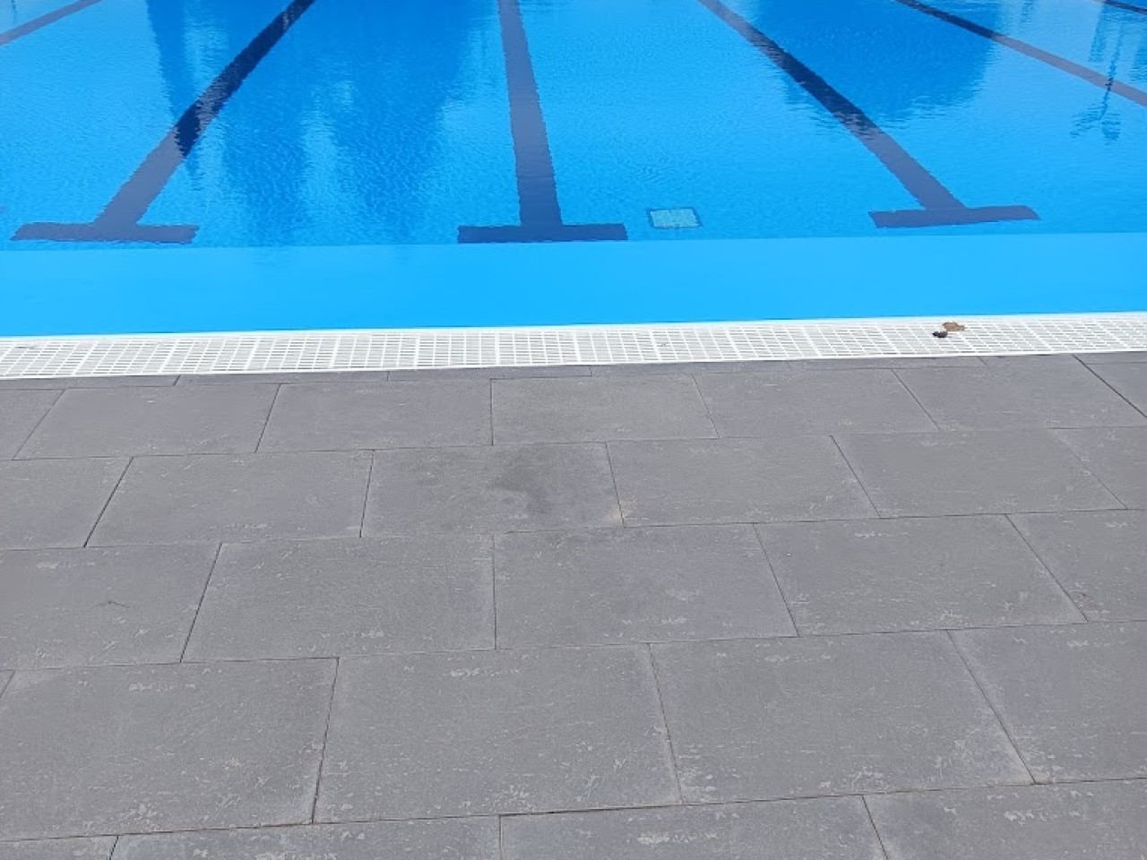 Centro Deportivo Municipal Moscardó