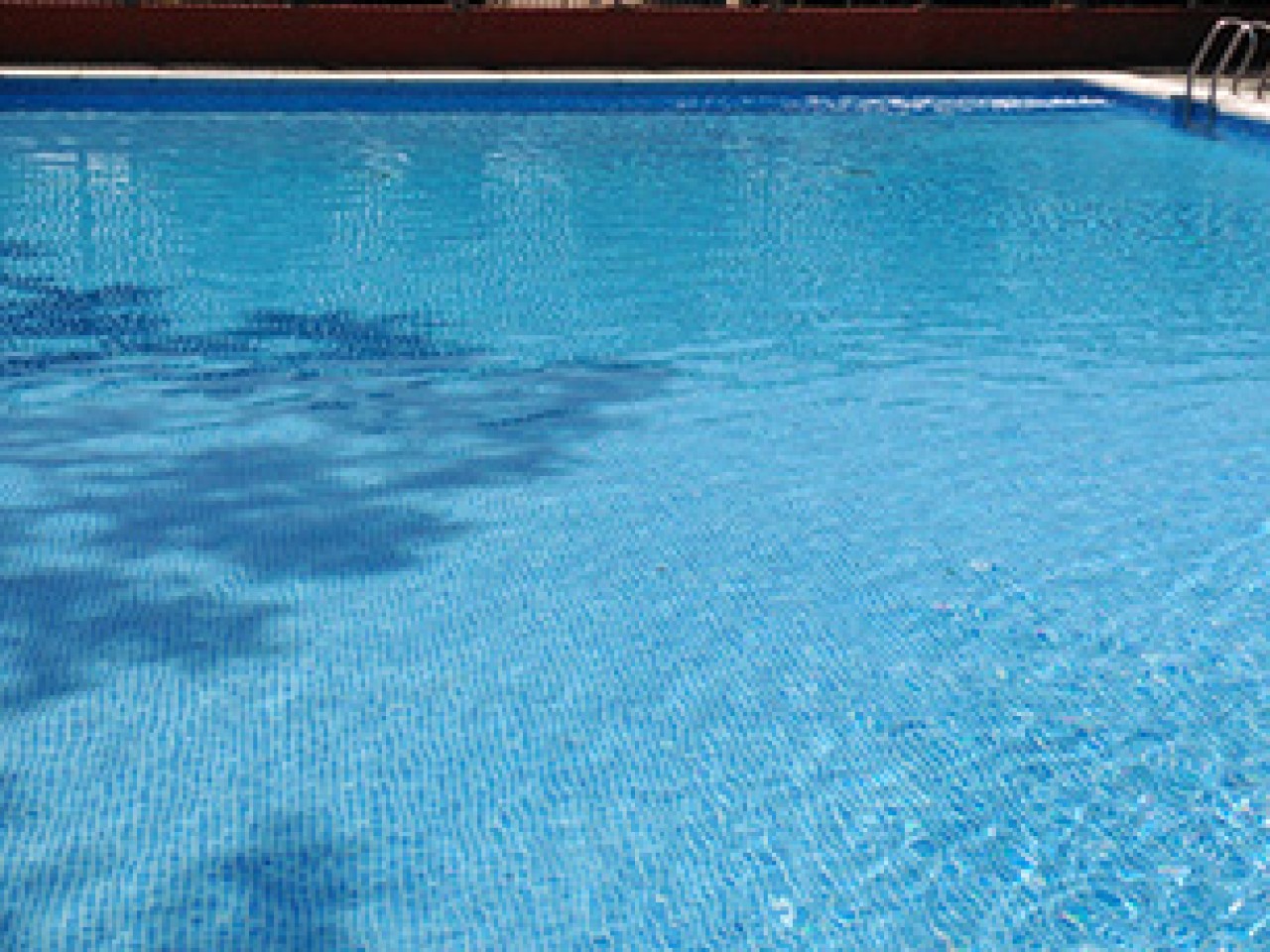 Piscina El Palmar